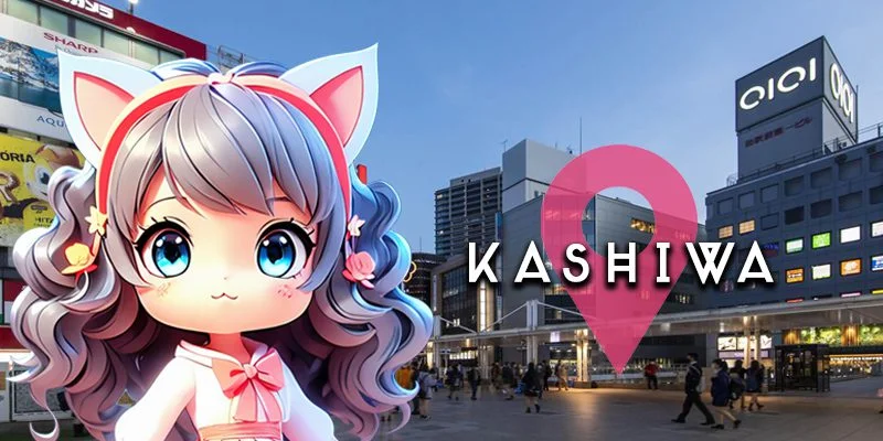 柏・我孫子エリア一覧